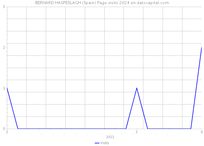 BERNARD HASPESLAGH (Spain) Page visits 2024 