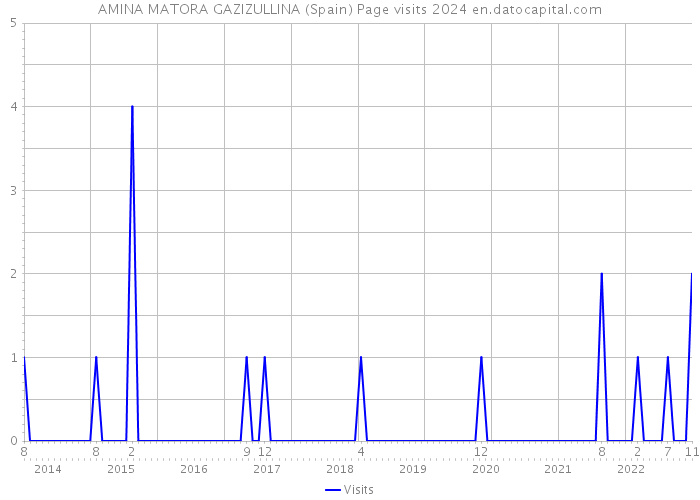 AMINA MATORA GAZIZULLINA (Spain) Page visits 2024 