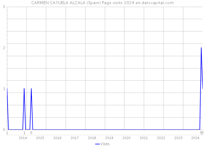 CARMEN CAYUELA ALCALA (Spain) Page visits 2024 