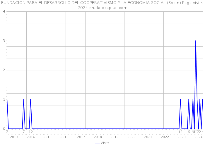 FUNDACION PARA EL DESARROLLO DEL COOPERATIVISMO Y LA ECONOMIA SOCIAL (Spain) Page visits 2024 