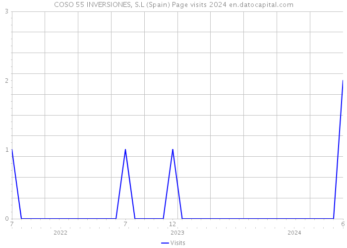 COSO 55 INVERSIONES, S.L (Spain) Page visits 2024 