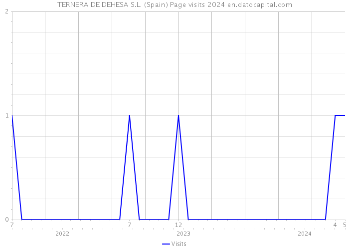 TERNERA DE DEHESA S.L. (Spain) Page visits 2024 