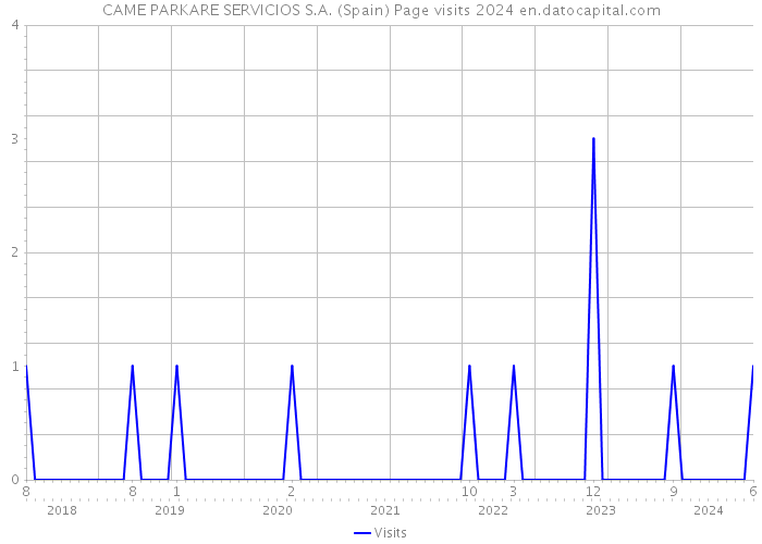 CAME PARKARE SERVICIOS S.A. (Spain) Page visits 2024 