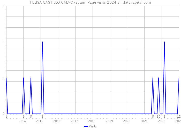 FELISA CASTILLO CALVO (Spain) Page visits 2024 