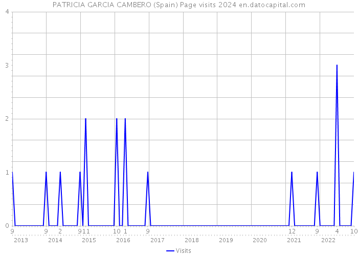 PATRICIA GARCIA CAMBERO (Spain) Page visits 2024 
