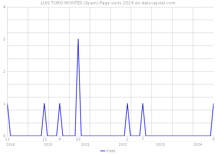 LUIS TORO MONTES (Spain) Page visits 2024 