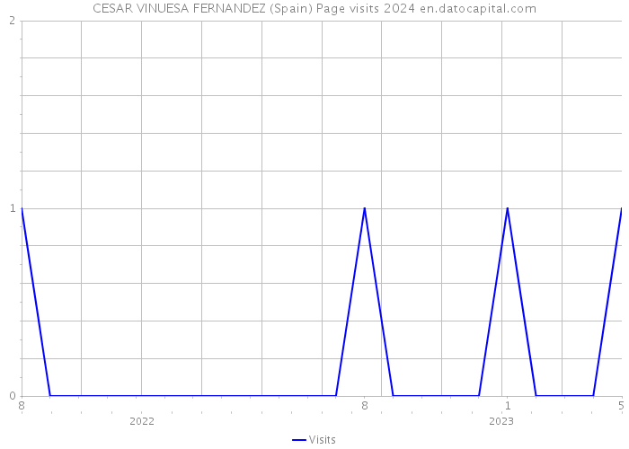 CESAR VINUESA FERNANDEZ (Spain) Page visits 2024 