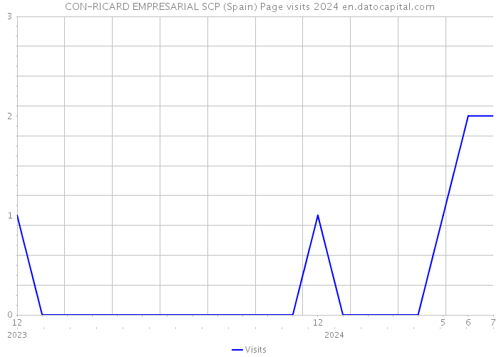CON-RICARD EMPRESARIAL SCP (Spain) Page visits 2024 