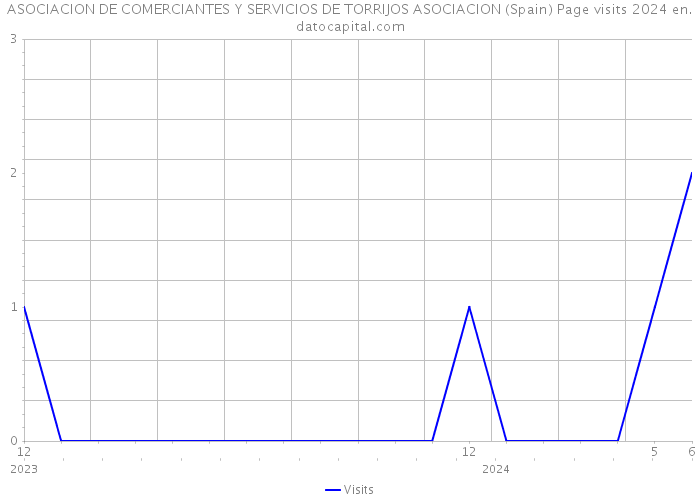 ASOCIACION DE COMERCIANTES Y SERVICIOS DE TORRIJOS ASOCIACION (Spain) Page visits 2024 