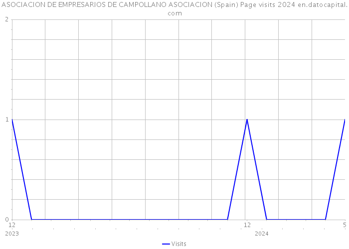 ASOCIACION DE EMPRESARIOS DE CAMPOLLANO ASOCIACION (Spain) Page visits 2024 