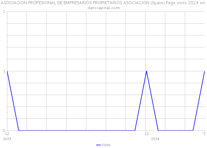 ASOCIACION PROFESIONAL DE EMPRESARIOS PROPIETARIOS ASOCIACION (Spain) Page visits 2024 
