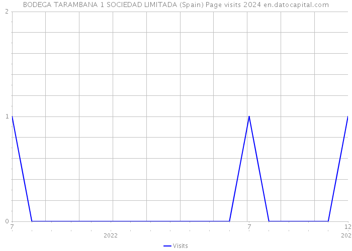 BODEGA TARAMBANA 1 SOCIEDAD LIMITADA (Spain) Page visits 2024 