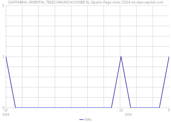 CANTABRIA ORIENTAL TELECOMUNICACIONES SL (Spain) Page visits 2024 