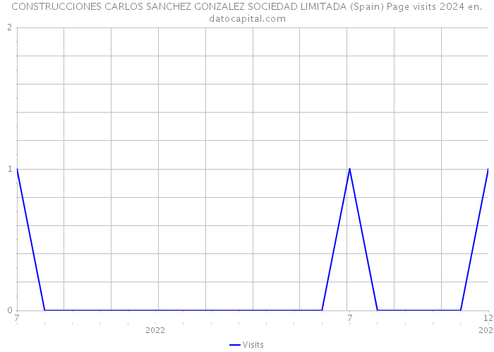 CONSTRUCCIONES CARLOS SANCHEZ GONZALEZ SOCIEDAD LIMITADA (Spain) Page visits 2024 