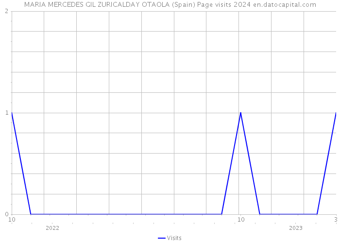 MARIA MERCEDES GIL ZURICALDAY OTAOLA (Spain) Page visits 2024 
