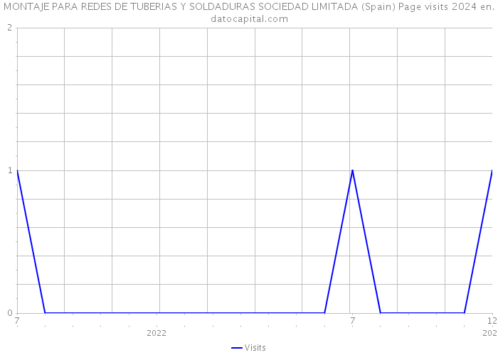 MONTAJE PARA REDES DE TUBERIAS Y SOLDADURAS SOCIEDAD LIMITADA (Spain) Page visits 2024 