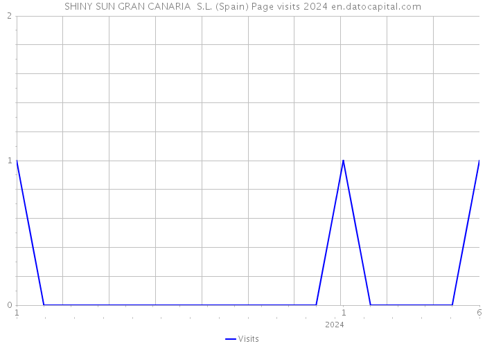 SHINY SUN GRAN CANARIA S.L. (Spain) Page visits 2024 