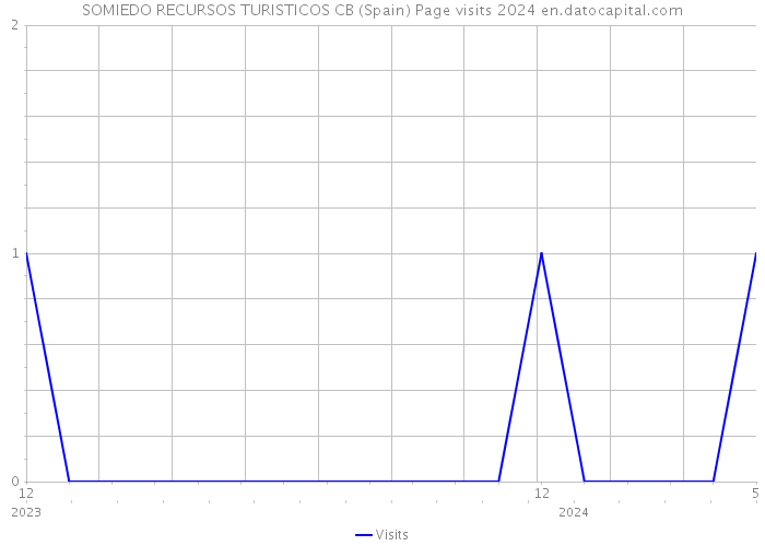 SOMIEDO RECURSOS TURISTICOS CB (Spain) Page visits 2024 