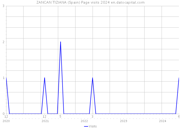 ZANCAN TIZIANA (Spain) Page visits 2024 