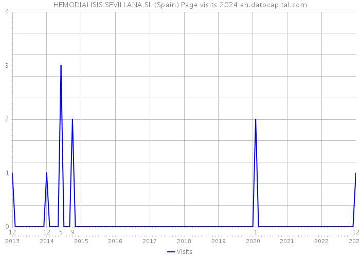 HEMODIALISIS SEVILLANA SL (Spain) Page visits 2024 