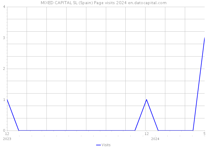 MIXED CAPITAL SL (Spain) Page visits 2024 