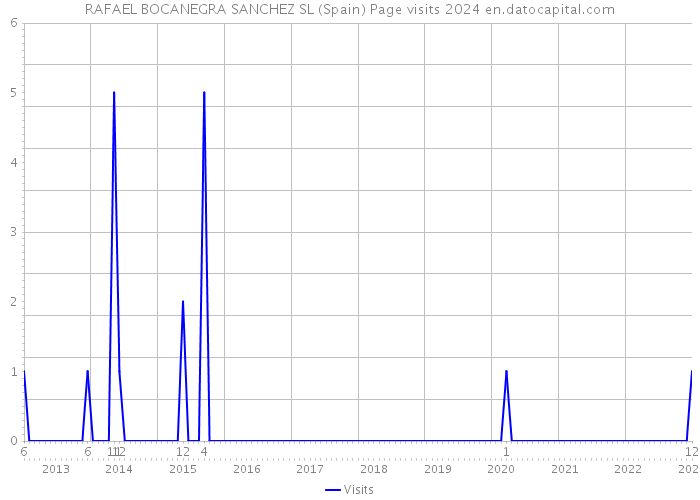 RAFAEL BOCANEGRA SANCHEZ SL (Spain) Page visits 2024 