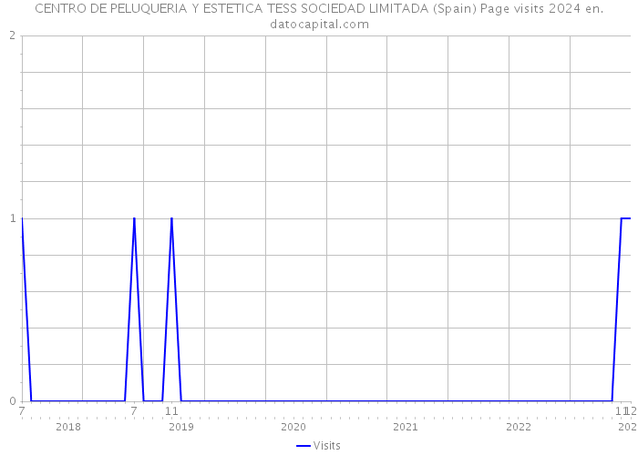 CENTRO DE PELUQUERIA Y ESTETICA TESS SOCIEDAD LIMITADA (Spain) Page visits 2024 