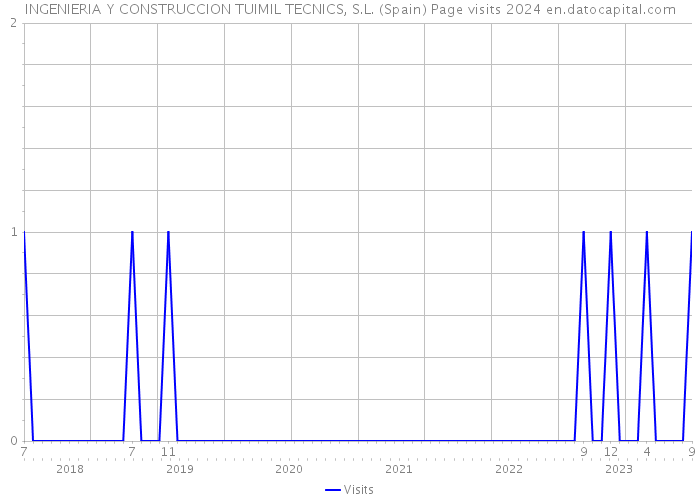INGENIERIA Y CONSTRUCCION TUIMIL TECNICS, S.L. (Spain) Page visits 2024 