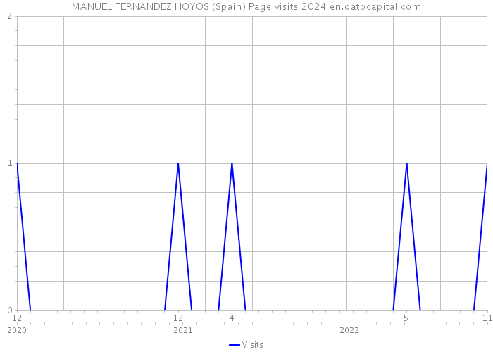 MANUEL FERNANDEZ HOYOS (Spain) Page visits 2024 