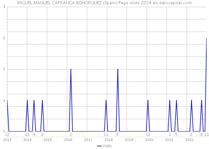 MIGUEL MANUEL CAFRANGA BOHORQUEZ (Spain) Page visits 2024 