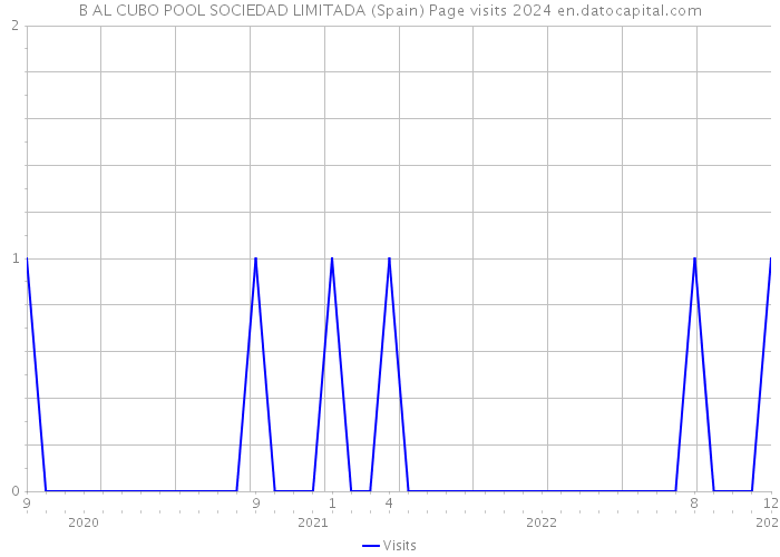 B AL CUBO POOL SOCIEDAD LIMITADA (Spain) Page visits 2024 