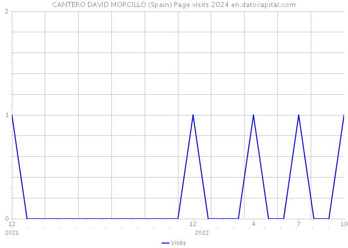 CANTERO DAVID MORCILLO (Spain) Page visits 2024 