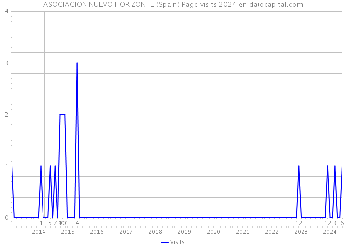 ASOCIACION NUEVO HORIZONTE (Spain) Page visits 2024 