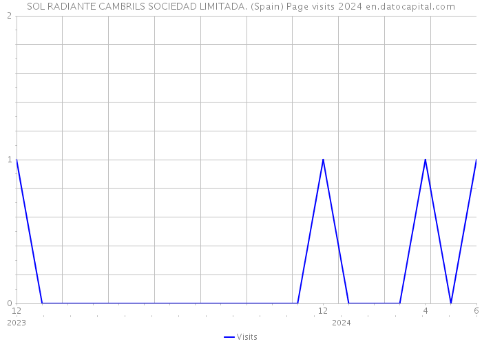 SOL RADIANTE CAMBRILS SOCIEDAD LIMITADA. (Spain) Page visits 2024 