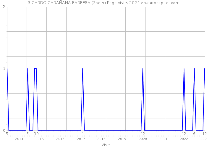 RICARDO CARAÑANA BARBERA (Spain) Page visits 2024 