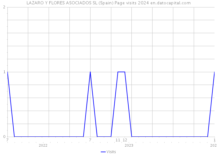 LAZARO Y FLORES ASOCIADOS SL (Spain) Page visits 2024 