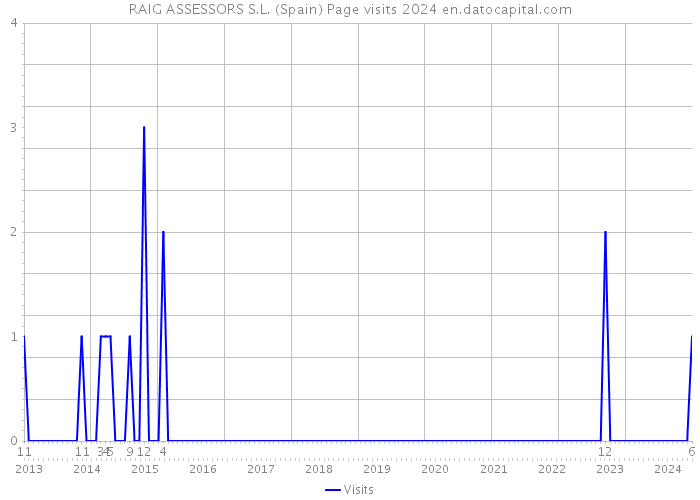 RAIG ASSESSORS S.L. (Spain) Page visits 2024 