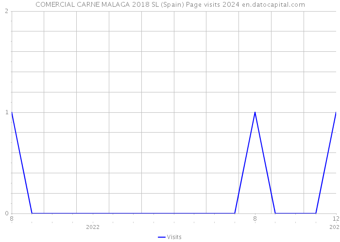 COMERCIAL CARNE MALAGA 2018 SL (Spain) Page visits 2024 