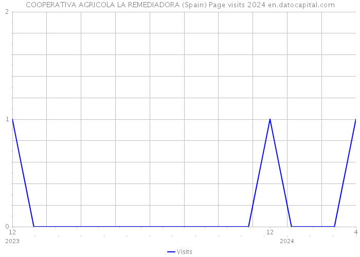COOPERATIVA AGRICOLA LA REMEDIADORA (Spain) Page visits 2024 