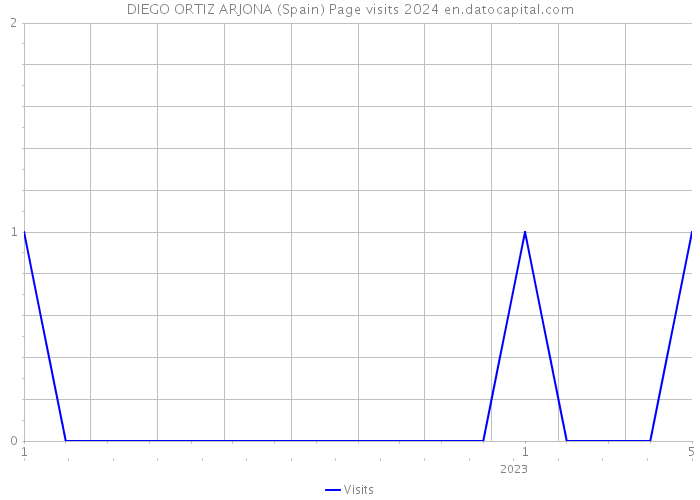 DIEGO ORTIZ ARJONA (Spain) Page visits 2024 