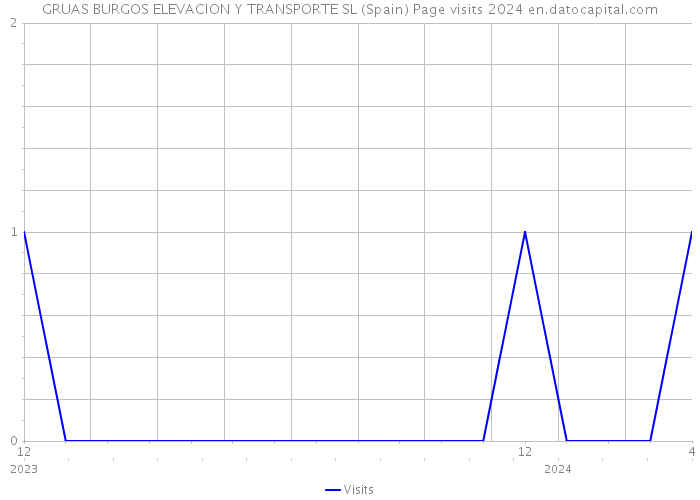 GRUAS BURGOS ELEVACION Y TRANSPORTE SL (Spain) Page visits 2024 
