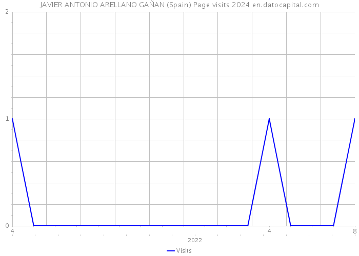 JAVIER ANTONIO ARELLANO GAÑAN (Spain) Page visits 2024 