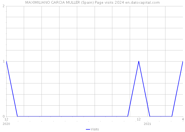 MAXIMILIANO GARCIA MULLER (Spain) Page visits 2024 