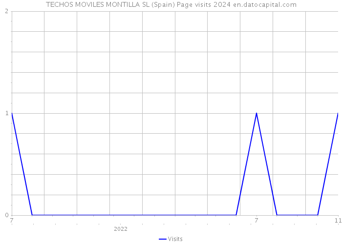 TECHOS MOVILES MONTILLA SL (Spain) Page visits 2024 