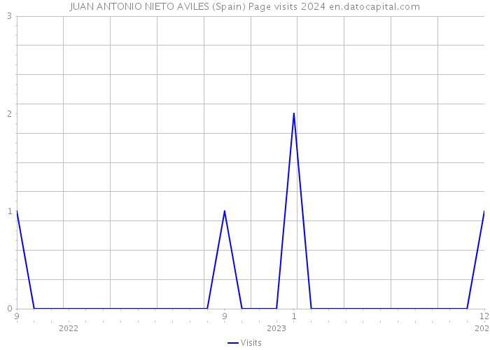 JUAN ANTONIO NIETO AVILES (Spain) Page visits 2024 