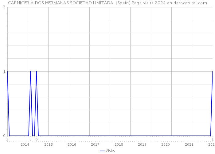 CARNICERIA DOS HERMANAS SOCIEDAD LIMITADA. (Spain) Page visits 2024 