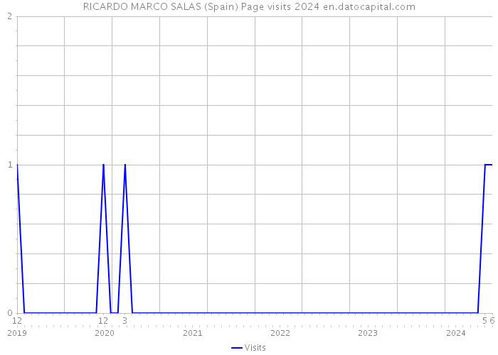 RICARDO MARCO SALAS (Spain) Page visits 2024 