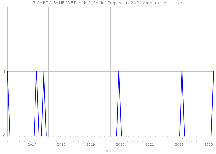 RICARDO SANEGRE PLANAS (Spain) Page visits 2024 