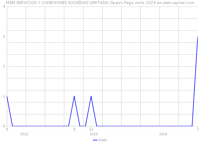 MSM SERVICIOS Y CONEXIONES SOCIEDAD LIMITADA (Spain) Page visits 2024 