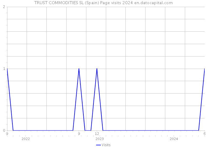 TRUST COMMODITIES SL (Spain) Page visits 2024 